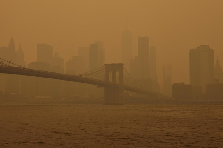 New York City Wildfires