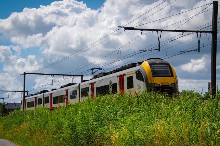 train