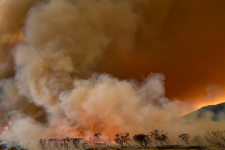 South Africa Wildfire